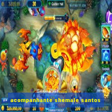 acompanhante shemale santos